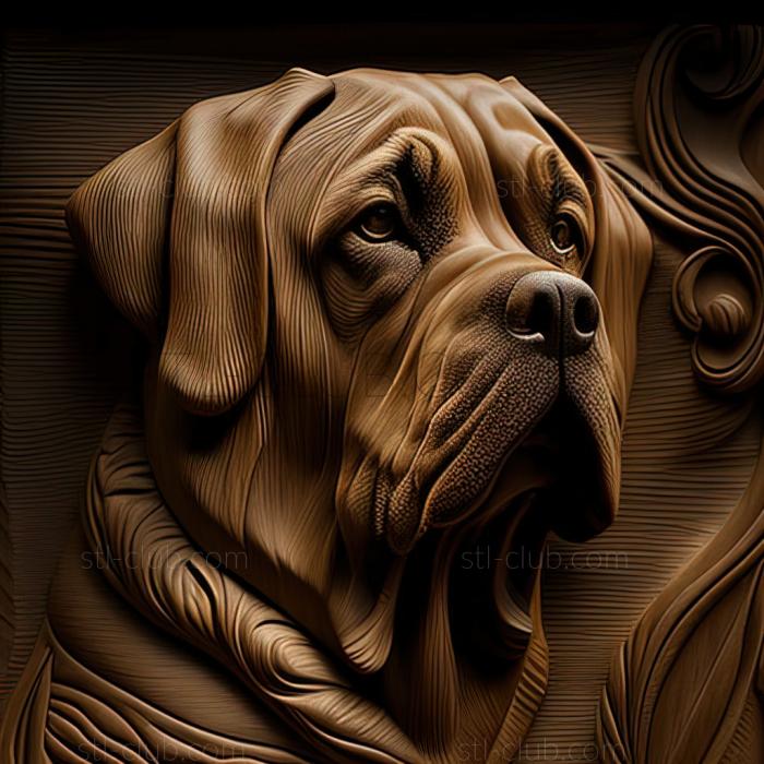 st Spanish Mastiff dog